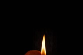 a murit louis schweitzer parintele marcii dacia ce mesaj a transmis presedintele consiliului de administratie renault 690eebe6b3180