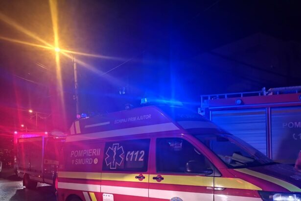 arde o autoutilitara parcata intr o gospodarie din constanta focul s a extins si la acoperisul unei cladiri 690d0a3a15a47