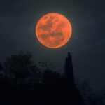 ce este super luna castorului cum se poate vedea pe cer in noaptea de 5 noiembrie inclusiv in romania 690a41843f03a