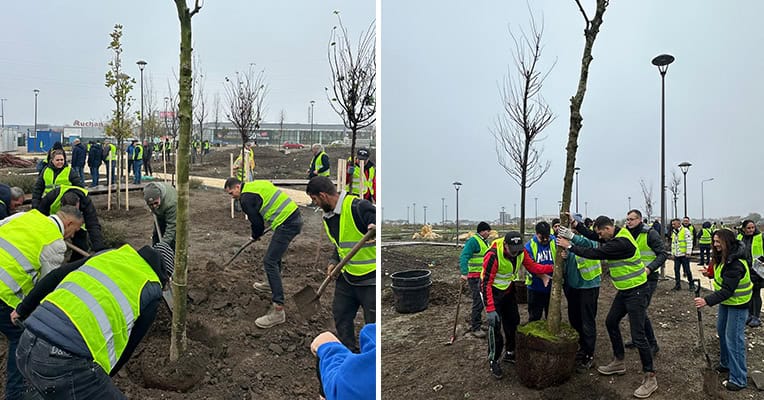 constanta actiune de plantare in parcul perdeaua verde de ziua dobrogei 691b091eb9703