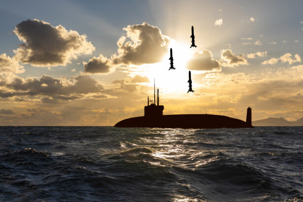 coreea de sud vrea sa construiasca pe teritoriul ei un submarin nuclear nu in sua cum a sugerat trump 690d162109017