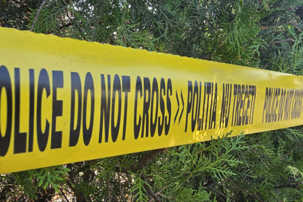 crima ca in scenariile de film o femeie a sunat la 112 reclamand ca sora ei a lesinat ce au gasit medicii la fata locului 69103d5eeead7