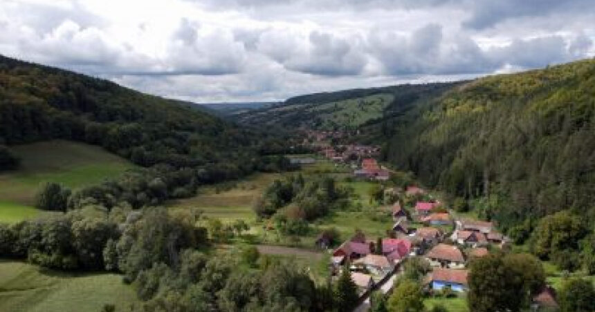 cum au ajuns primarii mici din tara sa aiba datorii de milioane la stat la rectificare ne dadeau bani s a marit pretul gunoiului 6912c8b96cf70