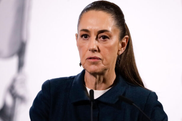 dupa ce presedinta claudia sheinbaum a fost agresata in public mexicul propune un plan impotriva hartuirii sexuale 690e2f146014a