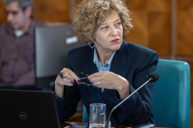 exclusiv ce spune vicepremierul oana gheorghiu despre intrarea intr un partid ce vad eu acum in discursul public asta pare 690f807c8157b