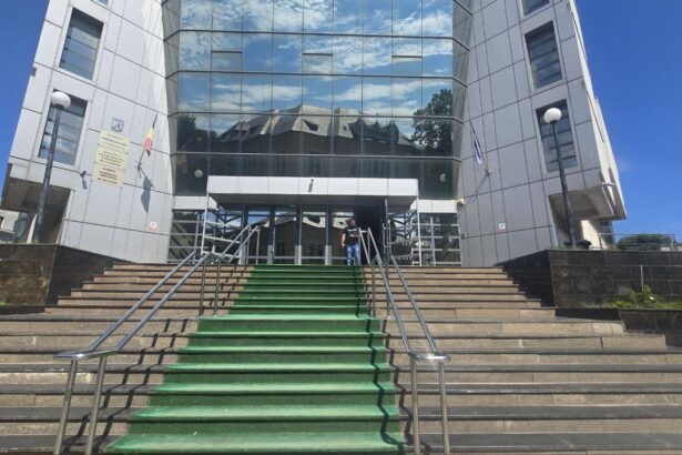 exclusiv surse notarul public daniela stamule retinuta de diicot constanta in dosarul fabrica de mosteniri 690ca7c45df58