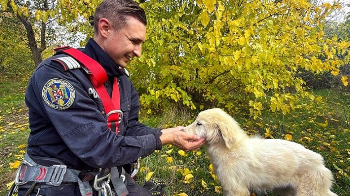 foto catel cazut intr o fantana adanca de aproximativ 15 metri salvat de pompierii tulceni 69099ed0a152f