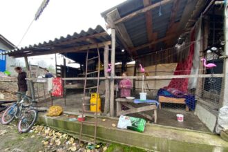 foto si tu poti ajuta o familie din ostrov a ramas fara casa in prag de iarna ana ionut si andreea au nevoie urgent de sprijin 691091b579232