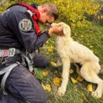 foto video caine salvat de pompierii din tulcea dintr o fantana adanca de 15 metri 6908c4d97a32c