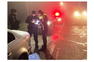 jale in traficul din constanta mangalia si dulcesti soferi beti sau cu permisul suspendat trasi pe dreapta de politisti 691326a5f1290