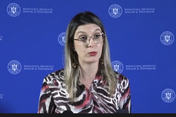 live diana buzoianu ministrul mediului declaratii despre controalele privind plajele din navodari 6911caa7d8093