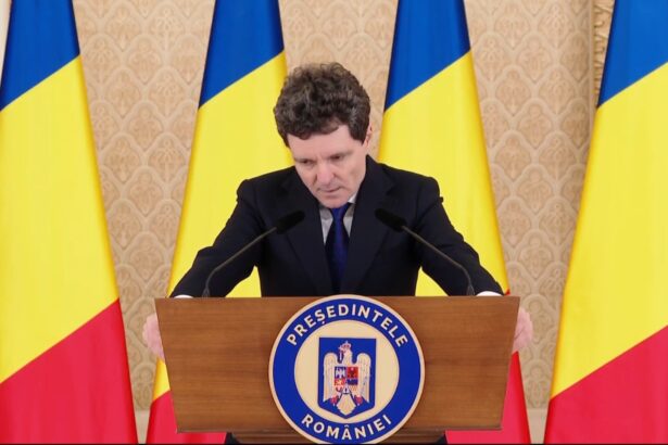 nicusor dan a dezvaluit liniile generale ale viitoarei strategii de aparare implicarea serviciilor de informatii pentru culegerea de date si doar atat pe relatia cu partenerii externi stam 6914973576087