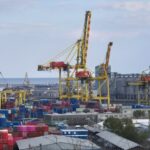 oficial lebada infectata cu virusul gripal h5n1 descoperita in portul constanta ce spun specialistii 69089aa5bd74f