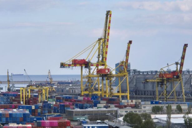 oficial lebada infectata cu virusul gripal h5n1 descoperita in portul constanta ce spun specialistii 69089aa5bd74f