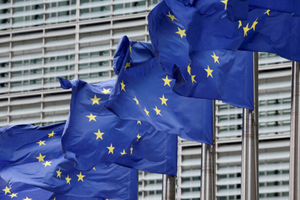 ue ar putea acorda concesii gigantilor tech in contextul unor posbile relaxari ale regulilor privind inteligenta artificiala 690efafae2dfb