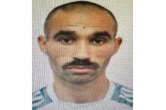 un tanar a disparut din cobadin sunati la 112 daca il vedeti 69132341b0ccb