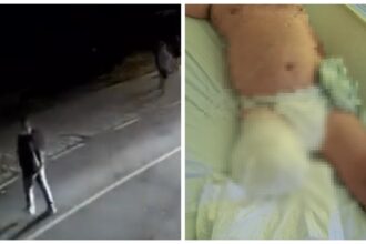 video detalii din rechizitoriu dupa trimiterea in judecata ce au zis martorii expertii si inculpatul in dosarul teribilului accident de la oltina viteza a fost de 148km h 69122f9f43a03