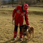 video in muntii maramuresului athos este cainele erou al salvamontistilor stie cand trebuie sa plecam undeva sau cand avem o misiune 6910812a756be