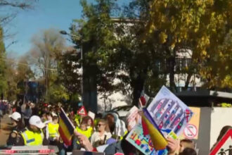 video mars privind siguranta rutiera in bucuresti la aproape o luna de la cazul mamei ucise pe trecerea de pietoni din berceni 69089ba441d13