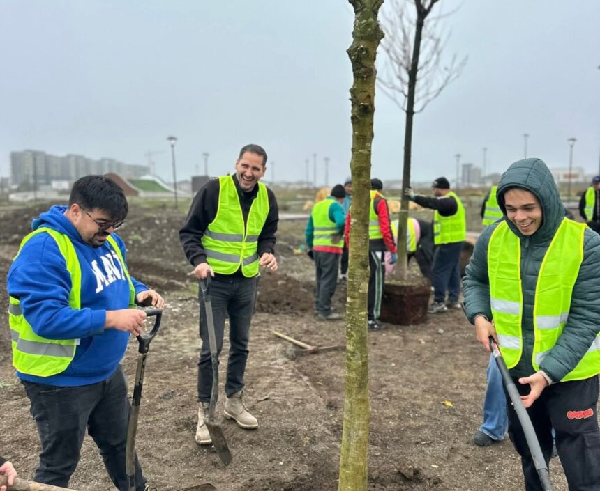 arborele vietii proiect nou in constanta initiat de viceprimarul rasauteanu diversitatea etnica pusa in valoare printr un parc 6952c140709aa