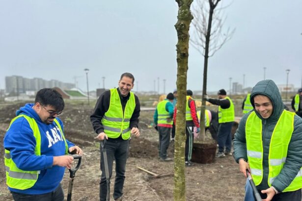 arborele vietii proiect nou in constanta initiat de viceprimarul rasauteanu diversitatea etnica pusa in valoare printr un parc 6952cab695a34