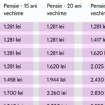 cati bani vei primi la pensie in functie de salariul actual si de vechimea cu care te pensionezi 6943c751025f1