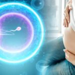 caz fara precedent in europa sute de copii conceputi cu sperma de la un donator purtator al unei gene asociate cu risc major de cancer 694ad0d3025d9