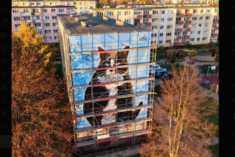 cum arata kim kardashian a lumii pisicilor felina a fost onorata cu o pictura murala uriasa intr un oras polonez 694b1d7044f75