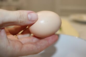 cum sa verifici ouale daca sunt proaspete trucuri rapide pentru siguranta alimentara in bucatarie 694518ce39e5c