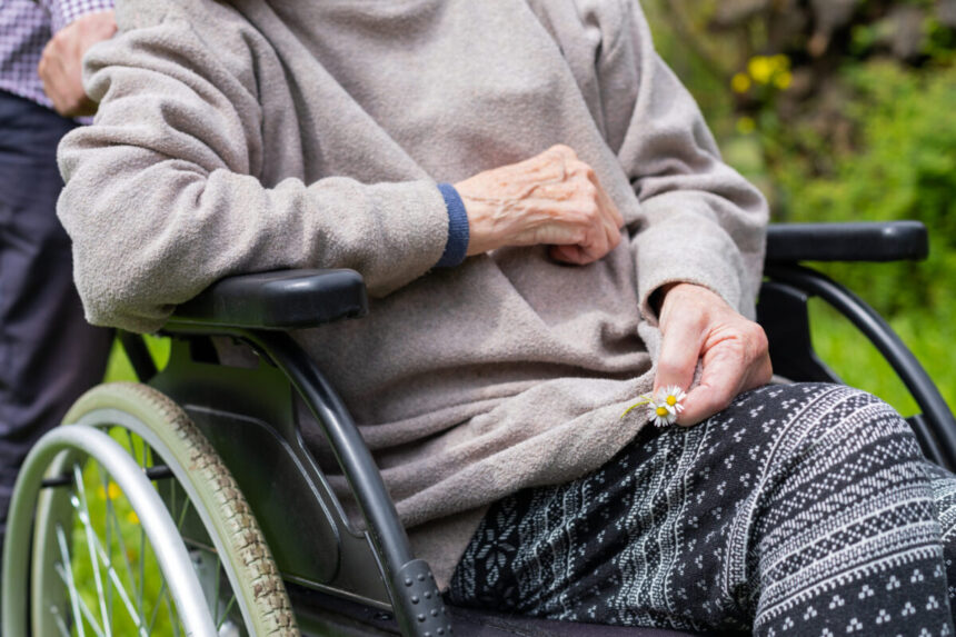 lista bolilor pentru care se acorda certificat de handicap cu insotitor 694b88bccb6f0