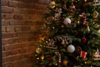 nu impodobi bradul inainte sa citesti asta traditiile si superstitiile care iti aduc noroc si prosperitate de craciun 694aa1cd54bc2