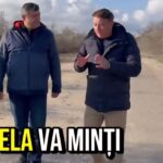 pnl constanta in pragul de a pierde viceprimarul la lumina 6945751988bda