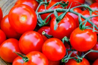 rosii proaspete vs rosii din conserva ce alegere este cu adevarat mai buna pentru sanatate 6952d48399948