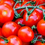 rosii proaspete vs rosii din conserva ce alegere este cu adevarat mai buna pentru sanatate 6952e4efa656b