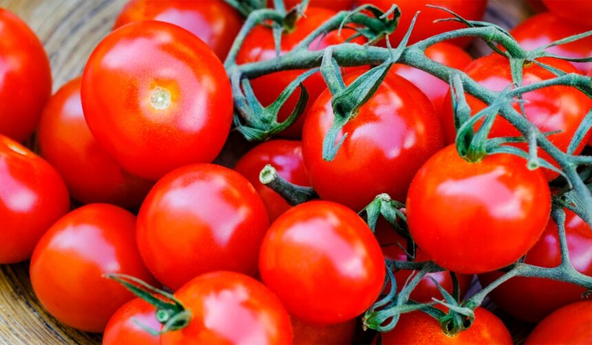 rosii proaspete vs rosii din conserva ce alegere este cu adevarat mai buna pentru sanatate 6952ebe2ad2a8