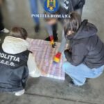 banca centrala europeana i a scris lui predoiu mai dupa ironiile cu bancnotele false confiscate la constanta s a ras 696e13b74ba92