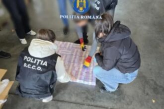 banca centrala europeana i a scris lui predoiu mai dupa ironiile cu bancnotele false confiscate la constanta s a ras 696e13b74ba92