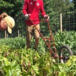 ce se intampla daca parlamentul unei tari ue nu ratifica acordul cu mercosur procesul se opreste si se asteapta 696dede47961f