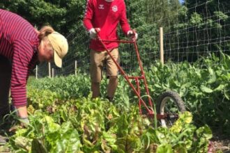 ce se intampla daca parlamentul unei tari ue nu ratifica acordul cu mercosur procesul se opreste si se asteapta 696dede47961f