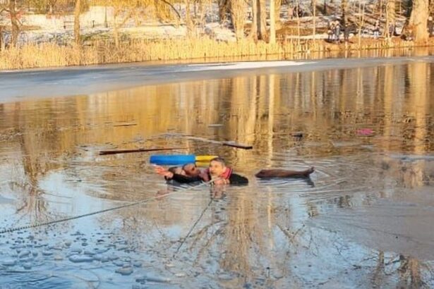 cine este barbatul de origine indiana care si a riscat viata pentru a salva fetita cazuta intr un lac in craiova 696ddb2add7c2