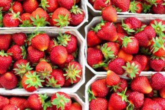 cum sa prepari acasa bautura speciala cu vodka si capsuni pentru orice petrecere invitatii o vor aprecia 695a3edabfec2