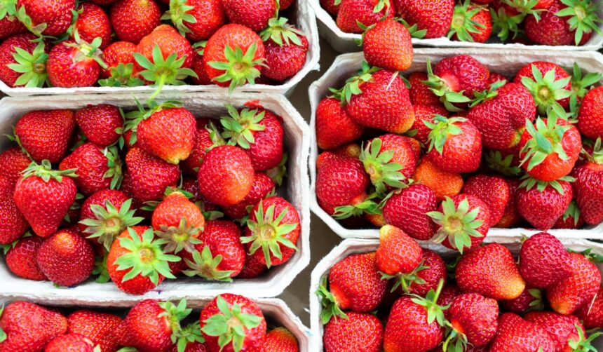 cum sa prepari acasa bautura speciala cu vodka si capsuni pentru orice petrecere invitatii o vor aprecia 695a3edabfec2