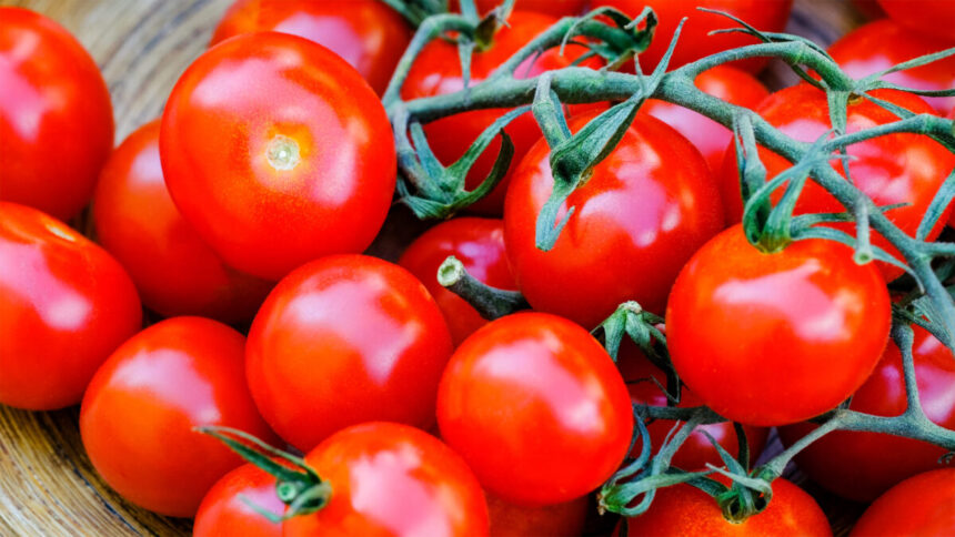 de ce nu ar trebui sa pastrezi rosiile in frigider alegeti sa le pastrati la temperatura camerei 69611caa311dd