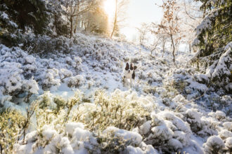 fenomenul meteo neobisnuit care va lovi romania in ianuarie unul dintre cele mai atipice episoade climatice din ultimele 125 de ani 695cd87a826d6