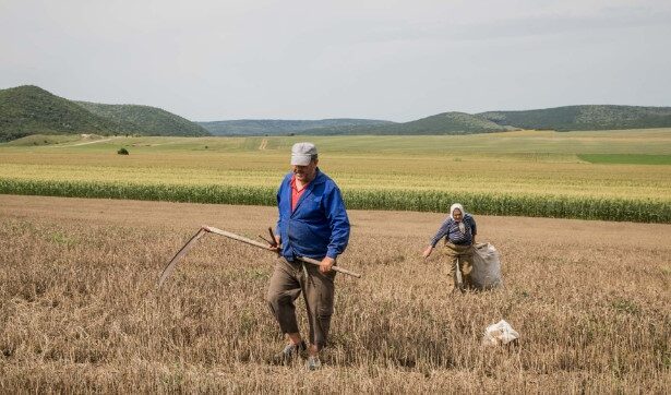 fermierii romani nu mai au nevoie de explicatii se simt tradati de guvern acordul ue mercosur va falimenta agricultura romaneasca 69665944ebbf2