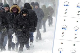 meteorologii accuweather anunta o luna februarie cum nu prea a mai fost in romania ce se intampla in bucuresti 696dd1ca09136