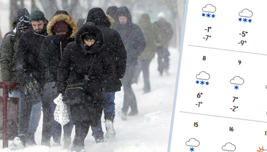 meteorologii accuweather anunta o luna februarie cum nu prea a mai fost in romania ce se intampla in bucuresti 696dd1ca09136