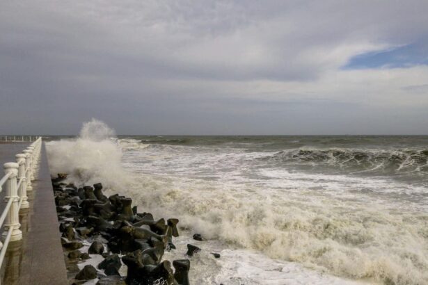 ninsori grele in tara ivan energie a convocat comandamentul energetic national constanta sub vant si umezeala 695f729145514