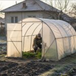 solariile din curte mai aproape de legalitate simplificata romanii care cultiva legume acasa eliberati de o obligatie costisitoare 6958dad02d637