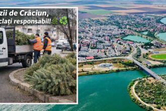 sunteti din navodari si vreti sa aruncati bradul natural din locuinta primaria vine cu o solutie 695bbf44247ea